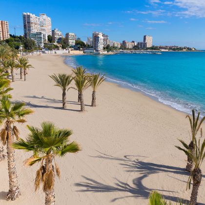 Alicante San Juan beach of La Albufereta with palms trees